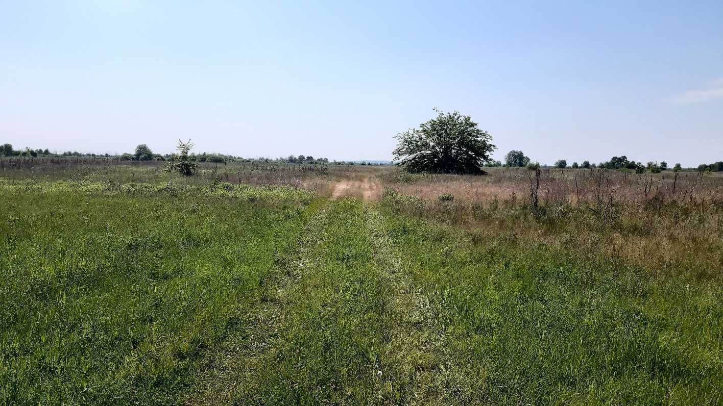 Земельні ділянки заг. пл. 21 га під ОСГ Головурівський с/о