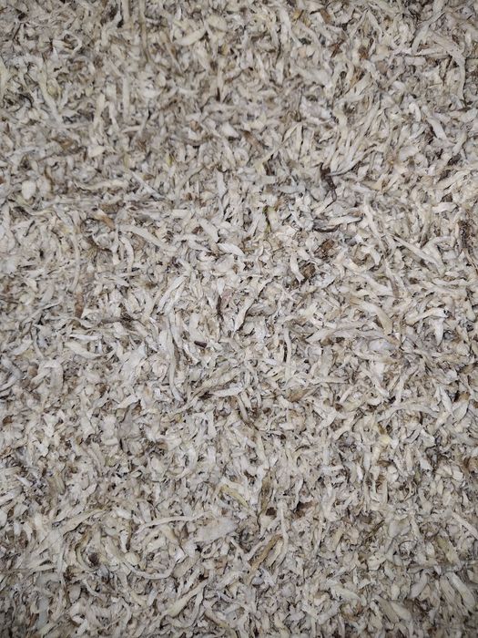 Wysłodki buraczane z dostawą świeże