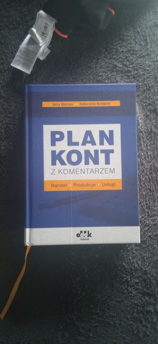 Plan kont z komentarzem 2020 Gierusz Koleśnik
