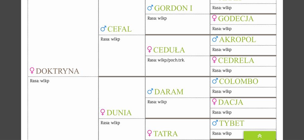 Pięknie malowany 7 miesięczny ogierek rasy wielkopolskiej (dotacyjny)
