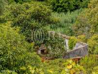 Moradia em ruina em Sintra