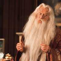 Fatos Dumbledore Harry Potter Cosplay