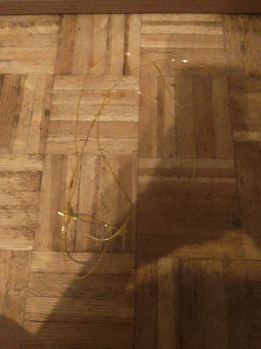 Ogłowie dla hobby horse