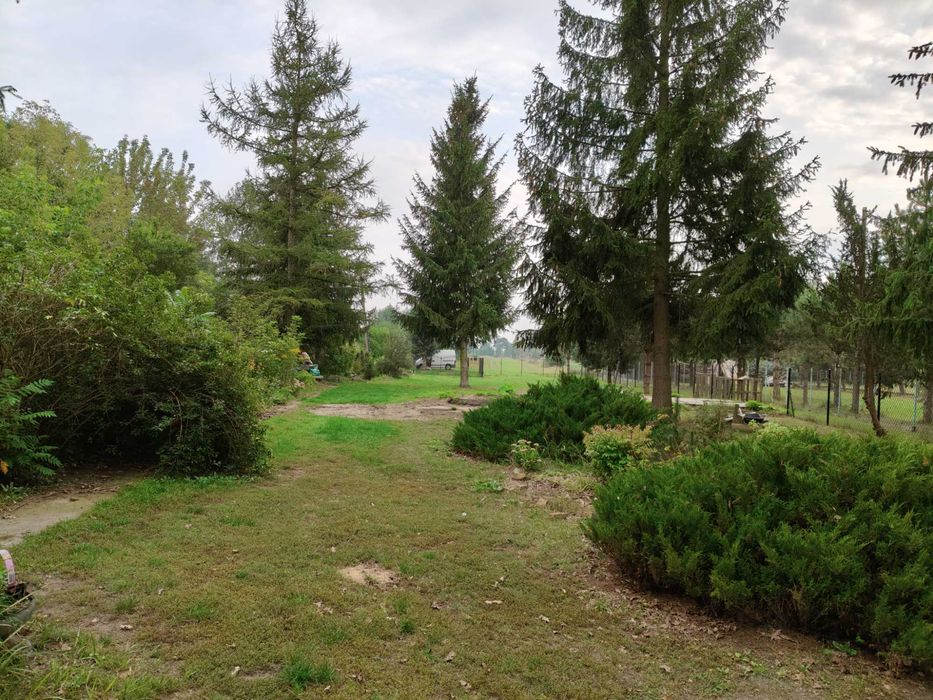 Siedlisko 1700m2 z domem i budynkami gospodarczymi + ziemia rolna.