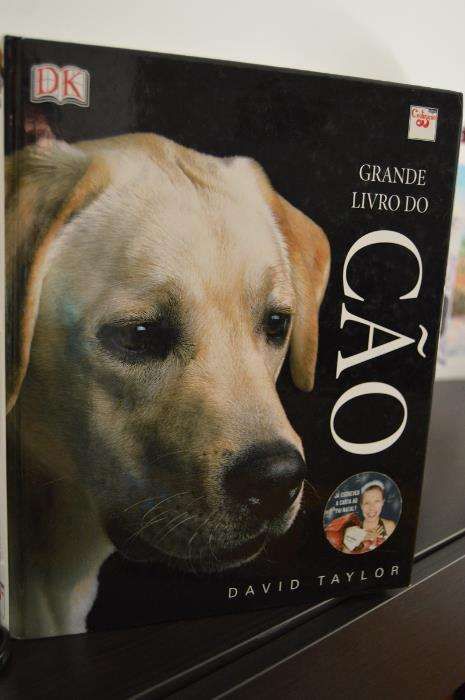 O cão de David taylor