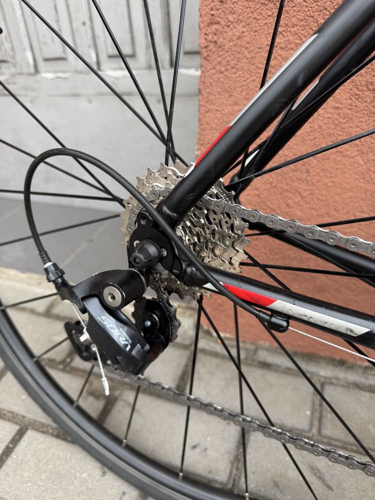 Szosa Trek Domane AL2