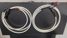 Kabel głośnikowy Chord Rumour X 2x2,5m