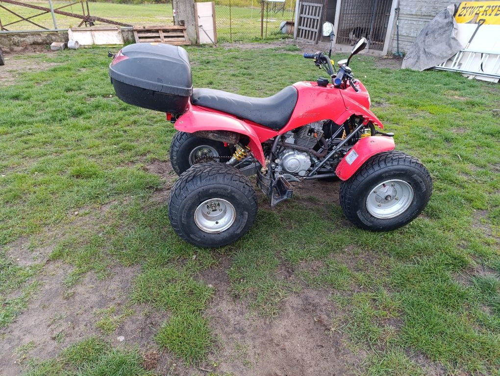 Quad 170 barossa (honda) z homologacją