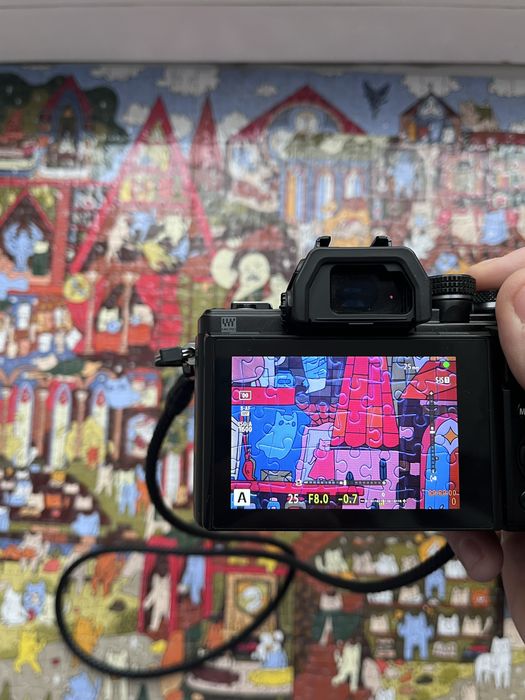 Продаю камеру olypmus omd 10 mark 2