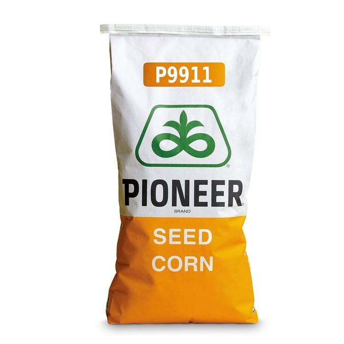 Pioneer 9911. 9610 nasiona premium kukurydzy na pełnej zaprawie