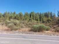Terreno / Fundão, Silvares