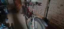 Rower Hawker DC-717 Bingo