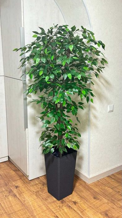 искусственные деревья