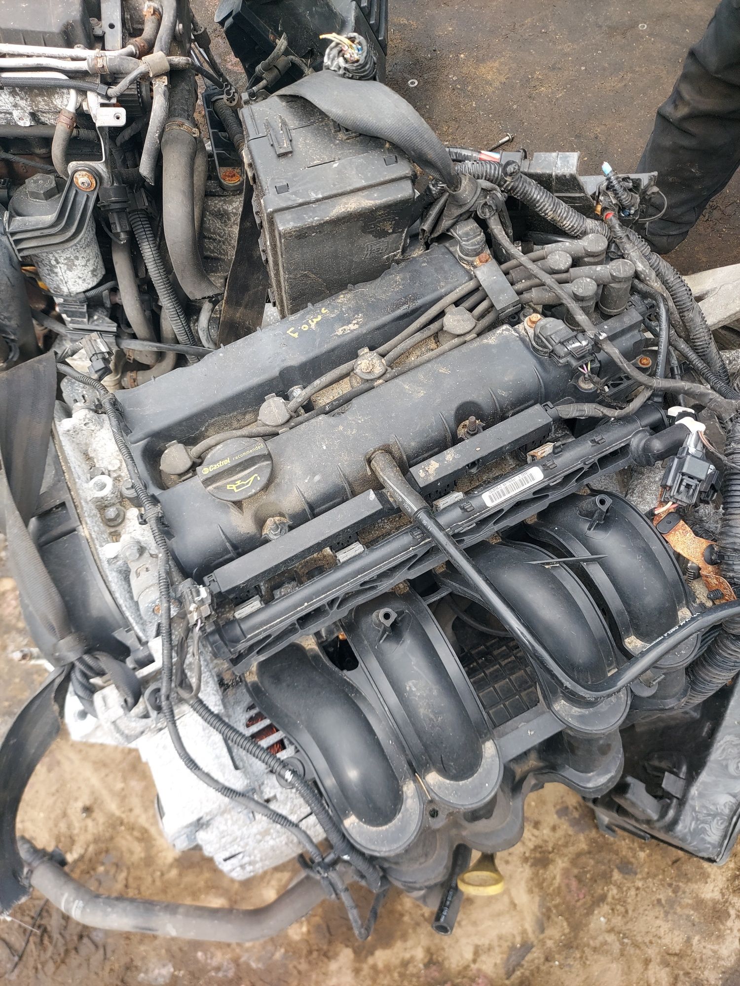 Ford 1.6 16v Iqda montaż części