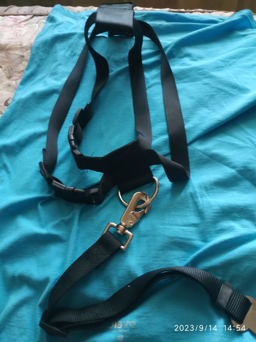 Шлейка для собак