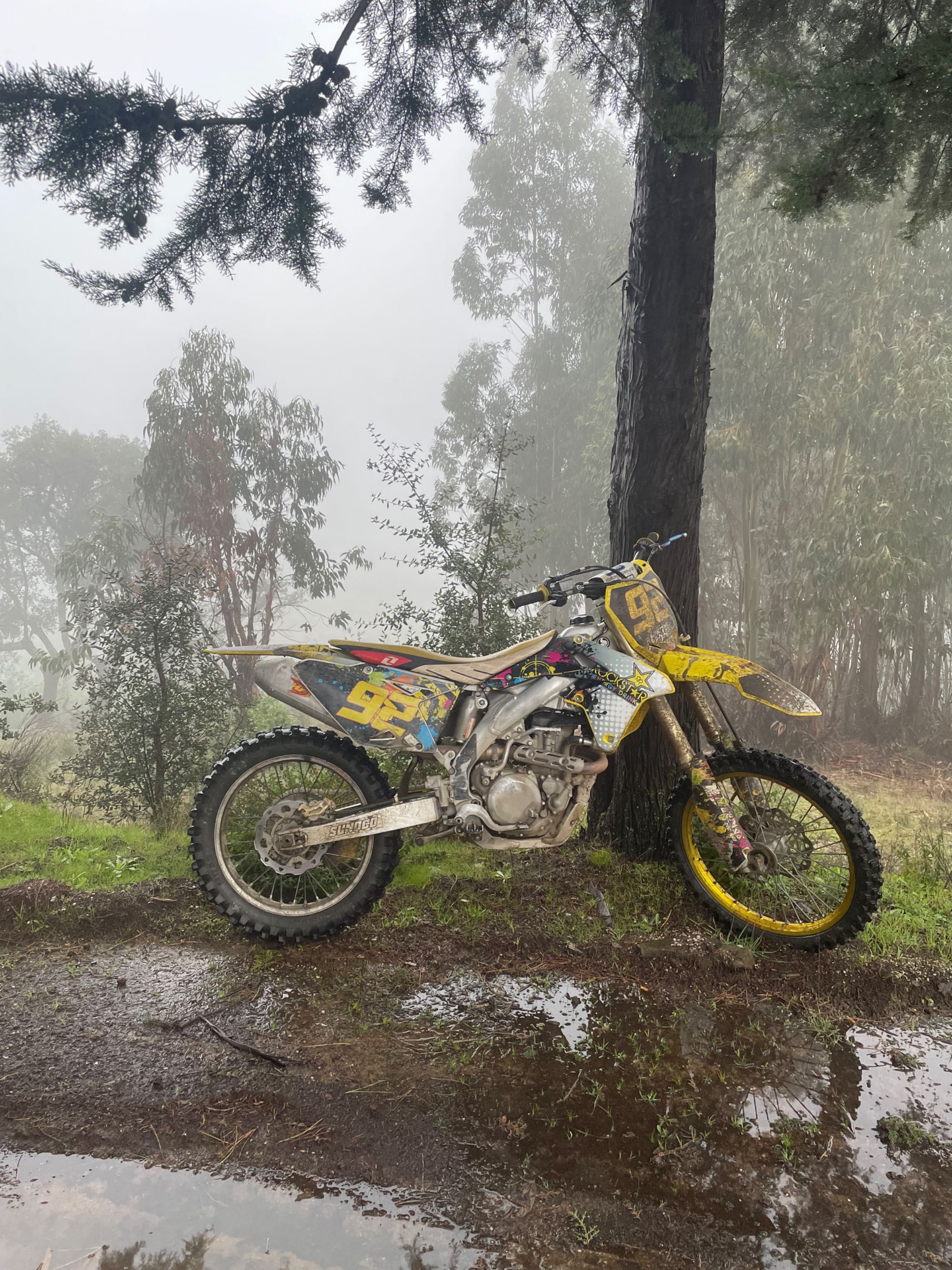 Suzuki rmz 450 injeção