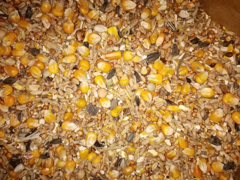 Karma dla gołębi Uniwersalna U 25kg