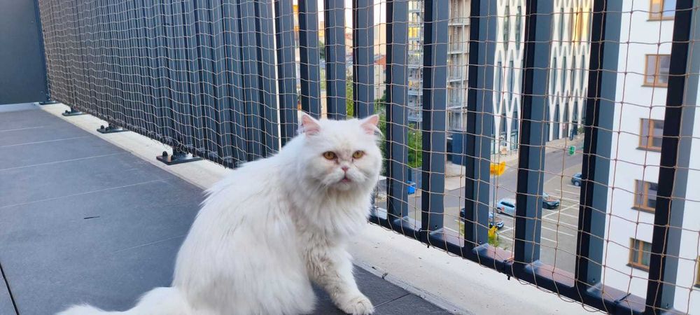 Siatka na balkon , siatka dla kota, przeciw ptakom montaż Warszawa