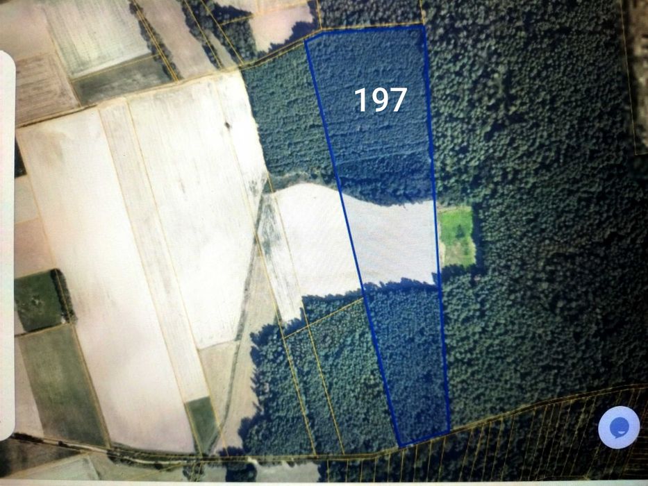 Sprzedam ziemię rolną i las 6,5 ha Targonie.