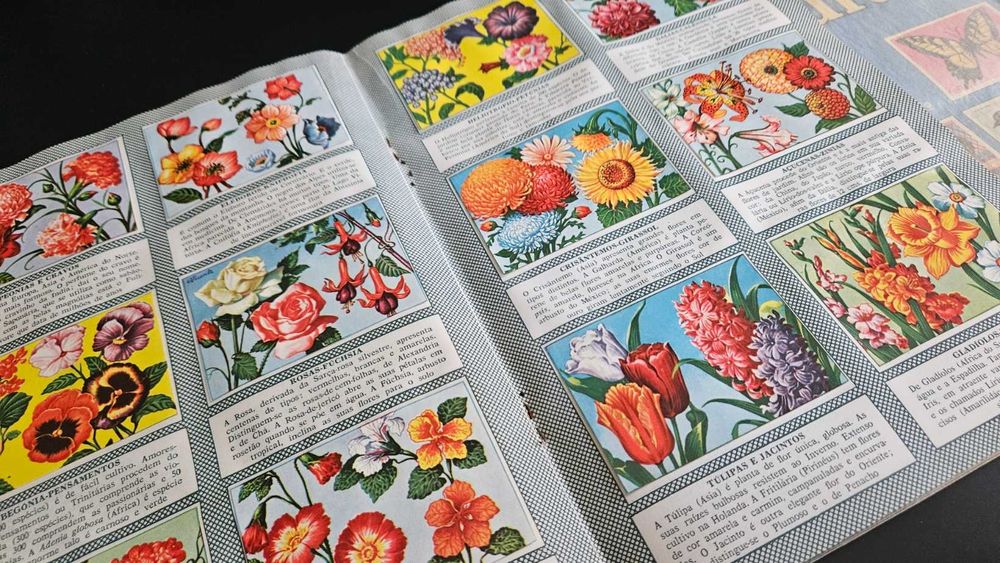 História Natural - Caderneta de Cromos Completa - 1958