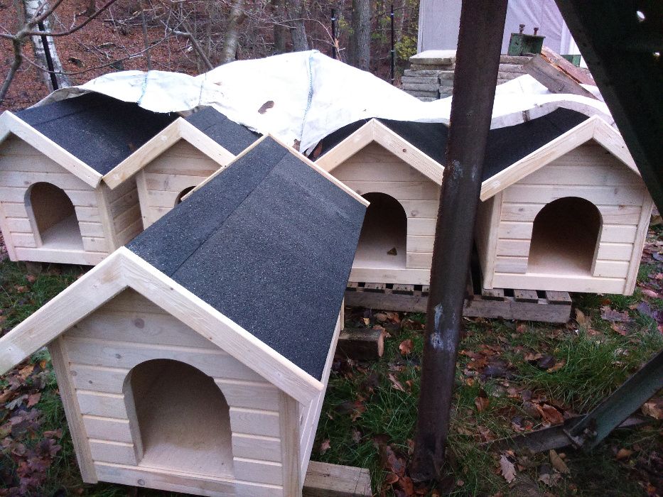 budę dla psa budę dla psa