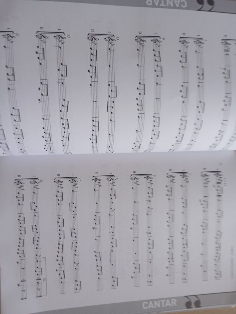 Livro formação musical