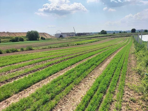 Na sprzedaż działka budowlano-rolna o pow. 46ar w miejscowości Zastów.