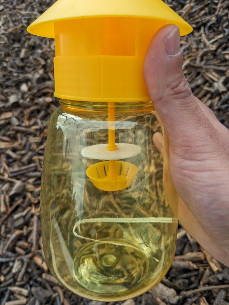 Armadilha para a Mosca da Fruta