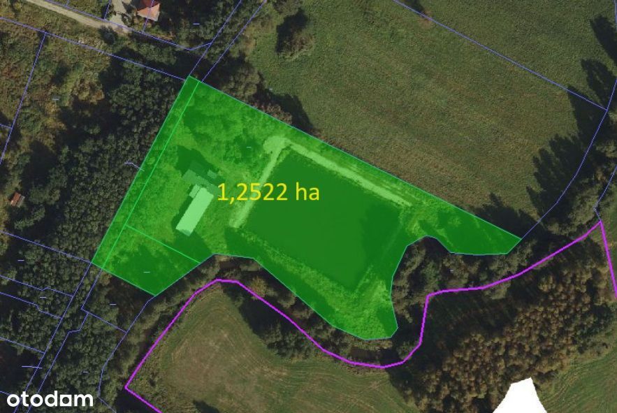 Na sprzedaż dom, staw, działka 1,25ha Stare Miasto