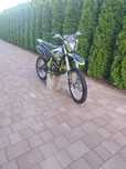 Cross asix lizard 250