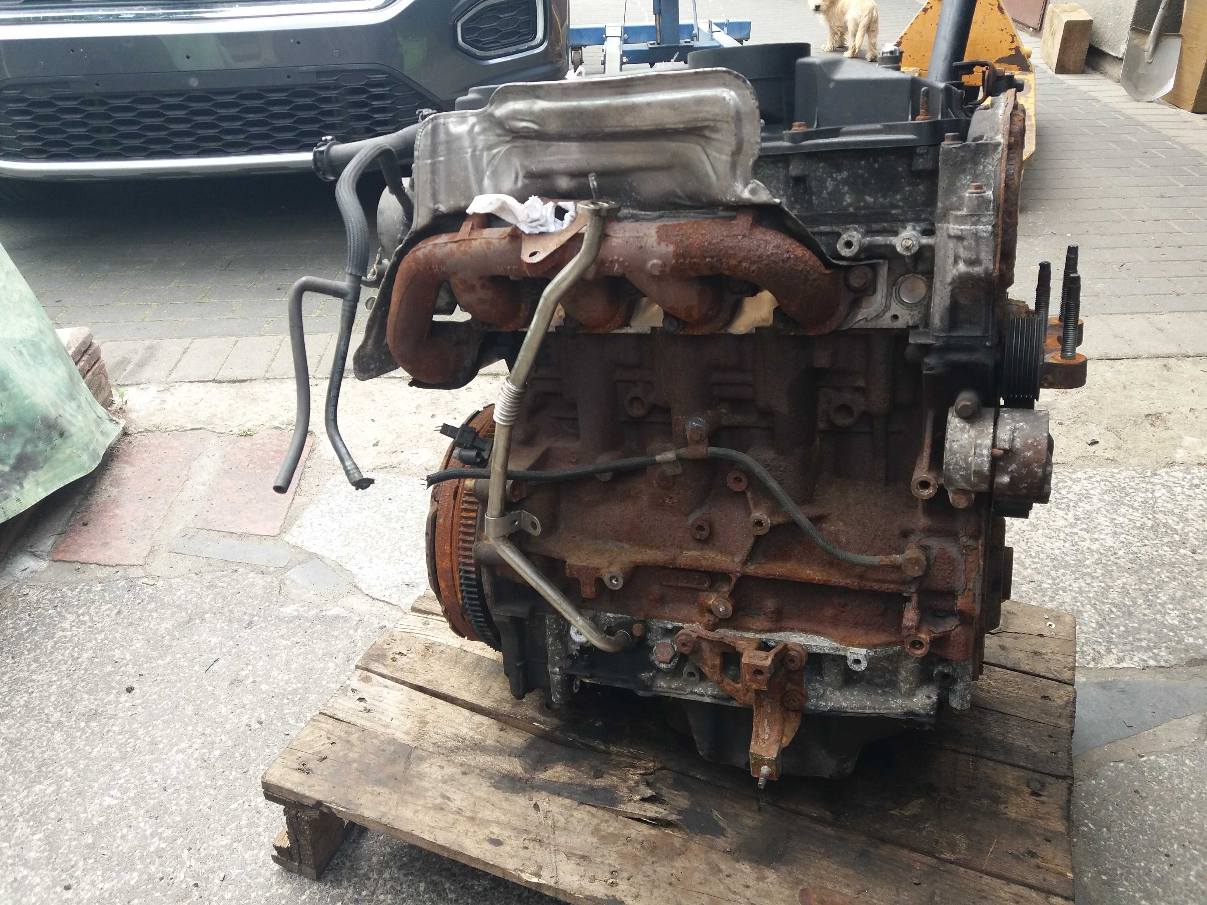 silnik Ford Transit 2.2 tdci PGFA Peugeot Boxer Jumper 2.2 hdi PUMA