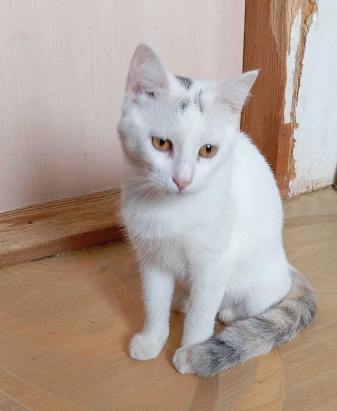 малышка Лия ищет любящую семью!