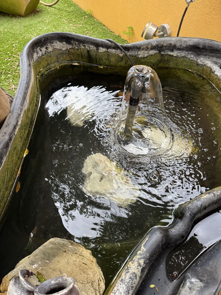 Lago para enterrar com oferta de 2 Carpas e comida