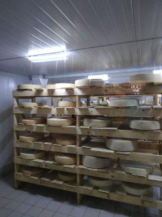 Камера для дозрівання сиру +2 + 4 °C (Луцьк, Рожище, Устилуг)