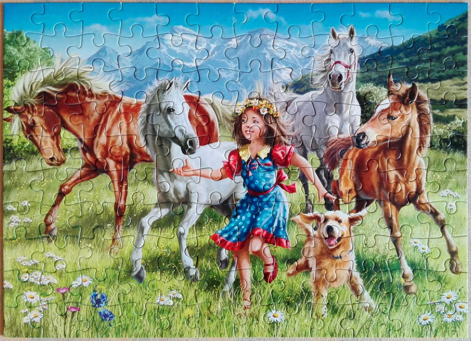 Zestaw puzzli dla dziewczynki - 6 szt. (3x120, 2x160, 1x187 elementów)