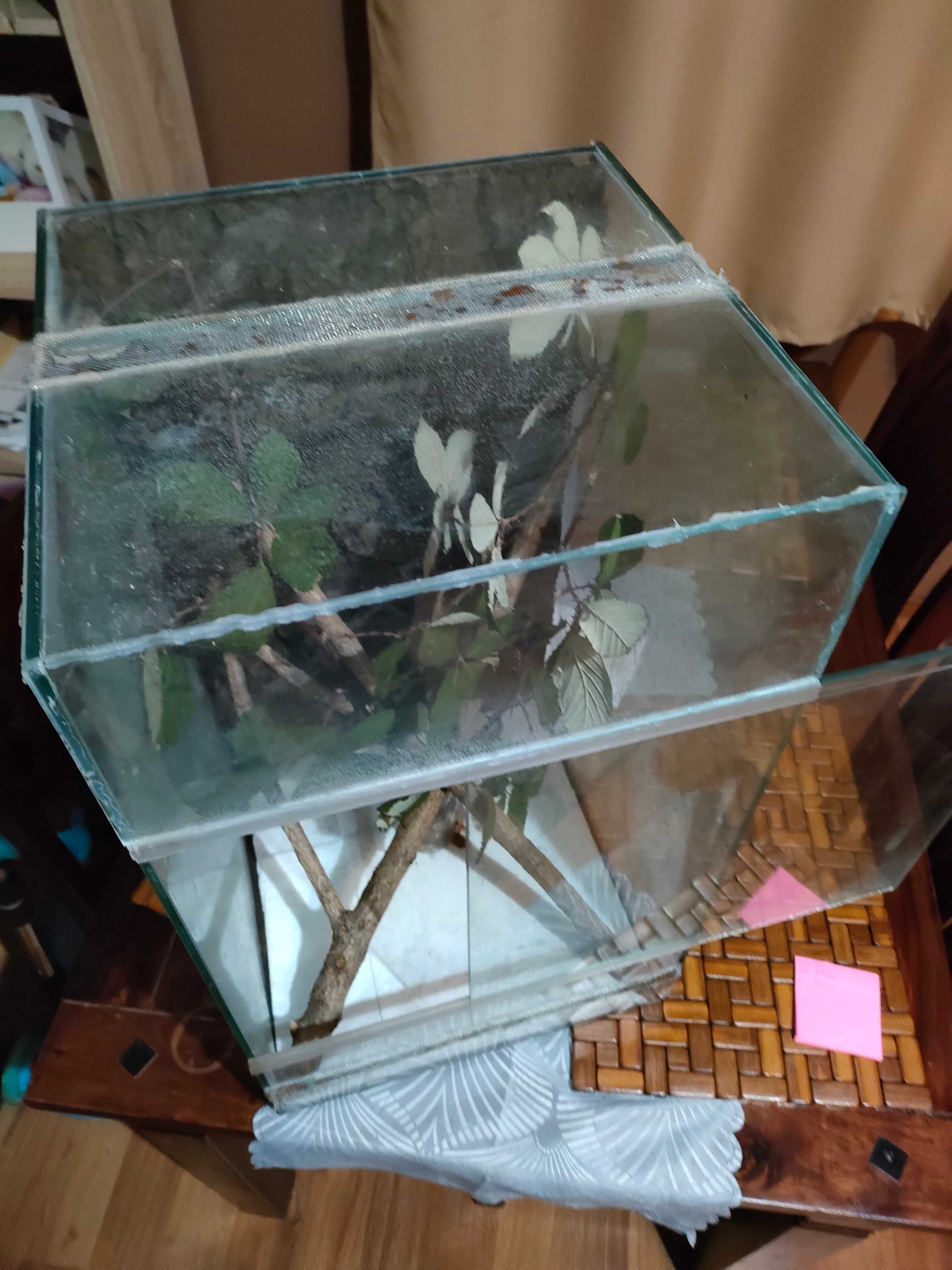 Terrarium dla zwierząt