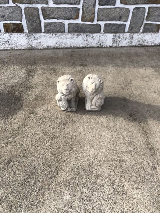Leao dois pequenos em bom estado