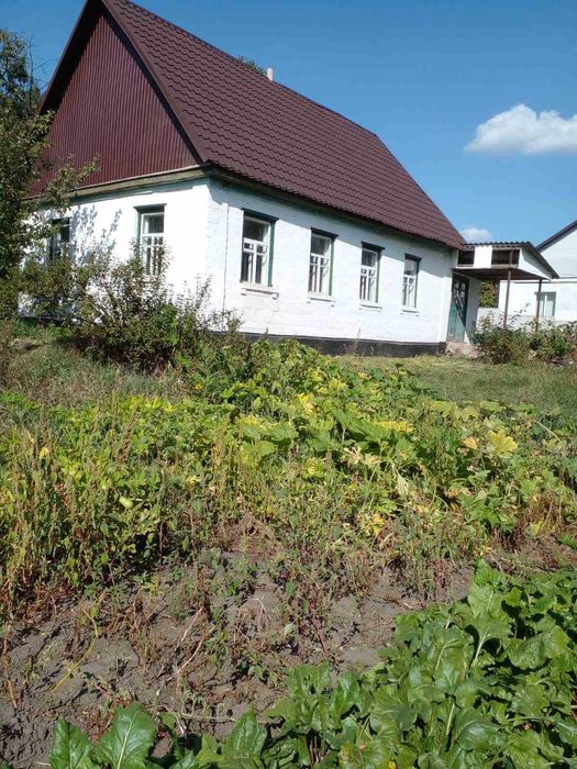 Продається  приватний   будинок