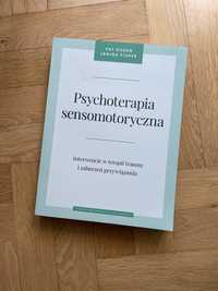 Psychoterapia sensomotoryczna UJ