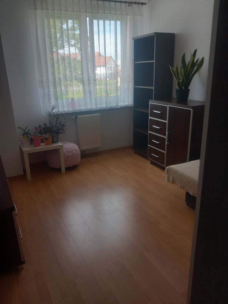 Pokój 1-osobowy Węgorzewo Plac Wolności