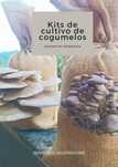 kit cultivo cogumelos