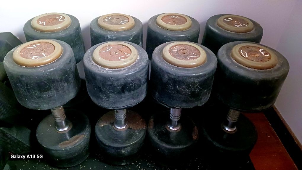 Halteres (par) de 24kg a 30kg