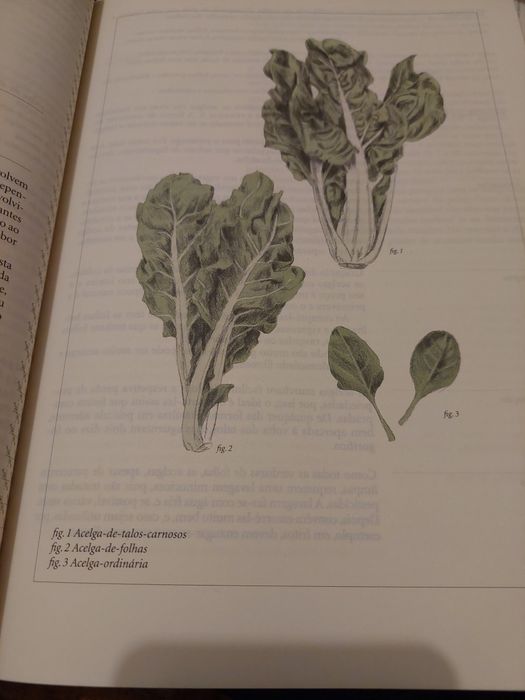 O Grande Livro dos Legumes