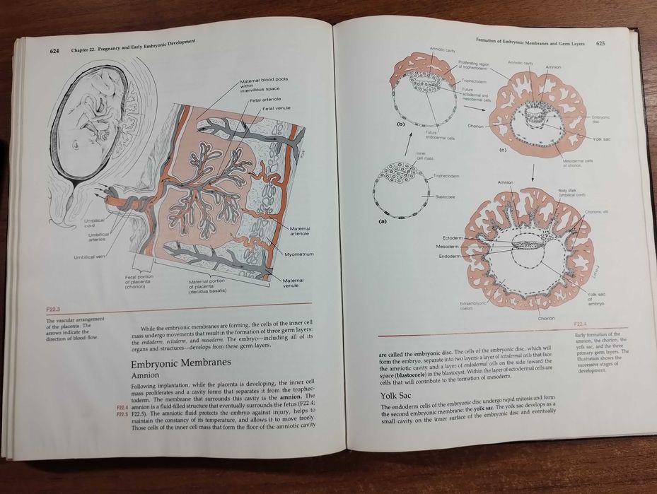 Basic Human Anatomy Alexander Spence Анатомия для художников