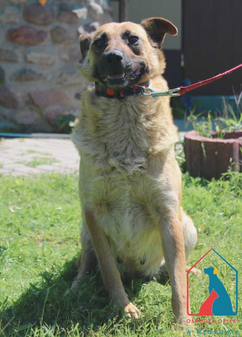 Sunia Smala szuka domu