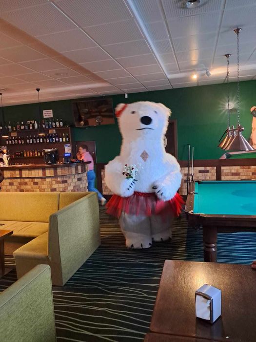 Biały Miś / Miś na imprezę/wesele