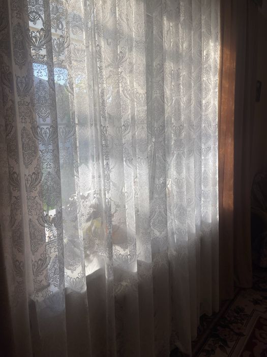 Здам в оренду частину будинку з окремим подвірям