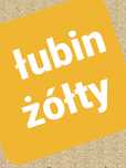 Łubin żółty.nostrzyk.seradela.pszenżyto.facelia.rzodkiew.gryka.owies