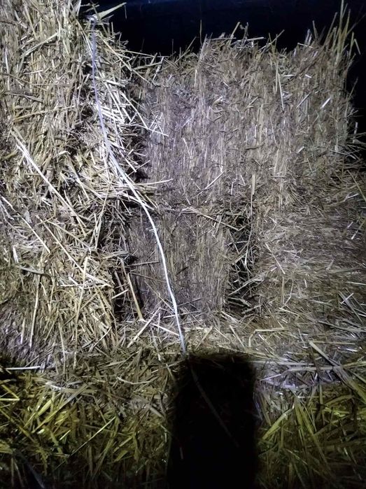 Продам тюк соломи