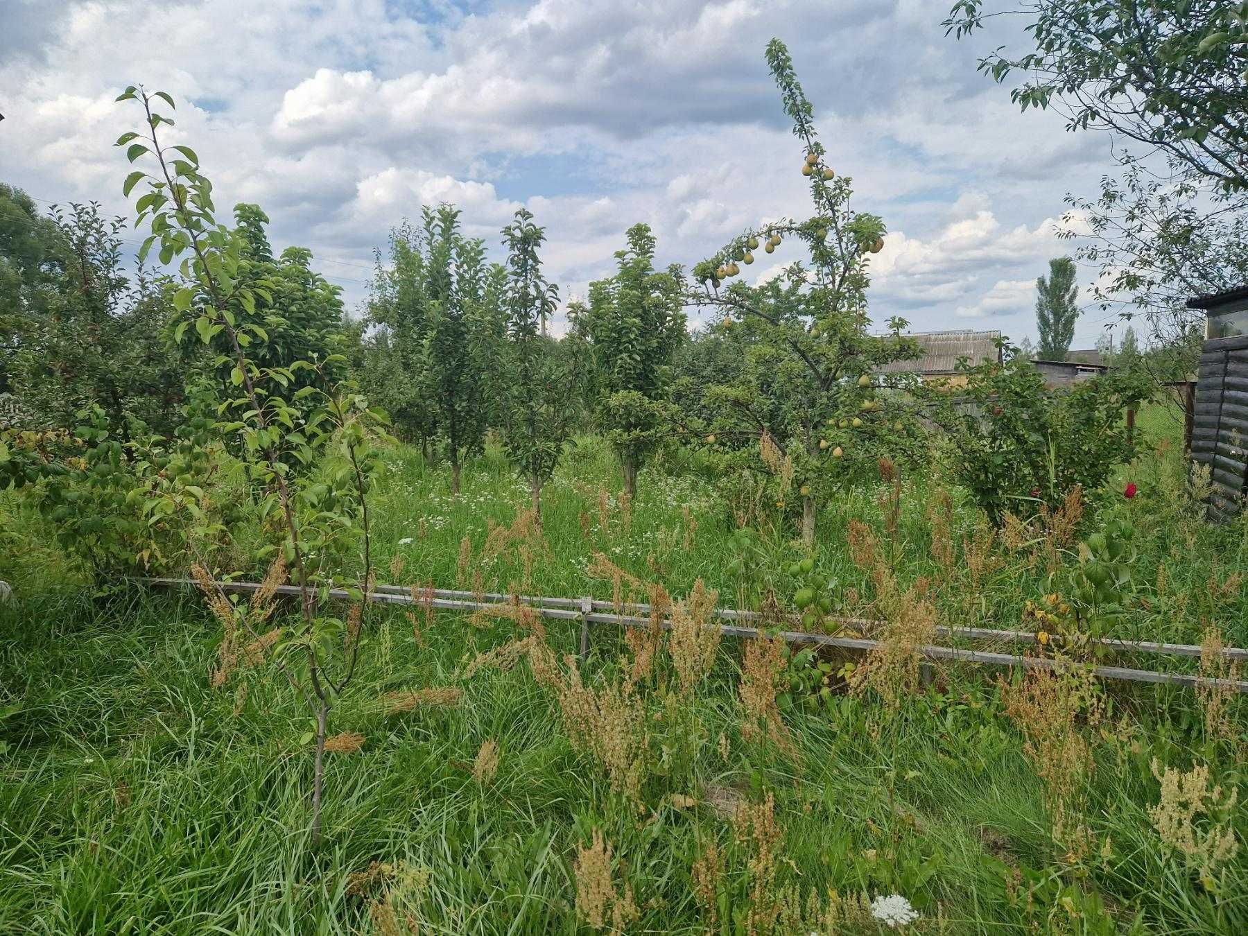 Будинок із земельною ділянкою в Київській області